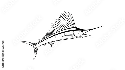 Dynamic black and white line art illustration of a sailfish or marlin, ocean game fish sketch vector on white background.
