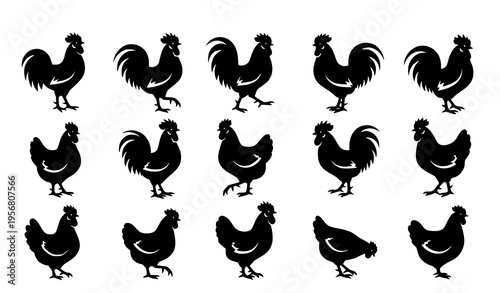 Rooster and hen silhouette vector set with farm chicken poses in black and white agricultural clipart collection