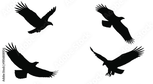 Silhouettes of soaring eagles with outstretched wings against a white background