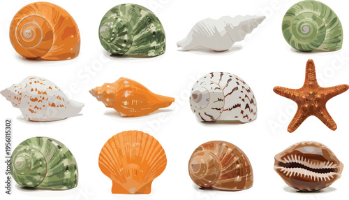Seashell and starfish illustration, colorful marine life collection, ocean themed decor, beach nature elements, coastal design, underwater biology artwork