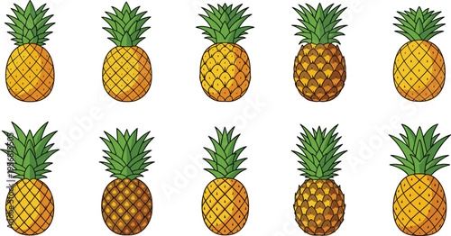 Realistic Pineapple Vector Collection with Detailed Tropical Fruit Illustrations, Fresh Exotic Pineapple Set for Food Design, Packaging, Branding, and Summer Graphics
