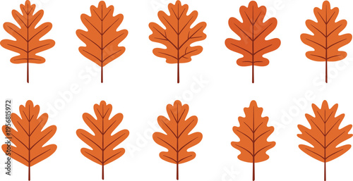 Autumn Oak Leaf Vector Collection with Orange Fall Leaves Icons, Minimal Flat Botanical Foliage Set for Seasonal Design, Nature Graphics, and Decorative Illustrations