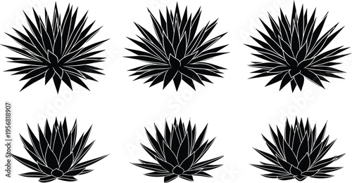 Black-and-white silhouette illustration of six agave plants with pointed leaves in radial symmetry, symbolizing botanical artwork, desert nature design, plant creativity, and decorative projects