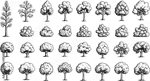 Hand-drawn sketch style set of various trees and bushes. Detailed vintage monochrome botanical illustrations of deciduous and coniferous plants for nature and landscape design.