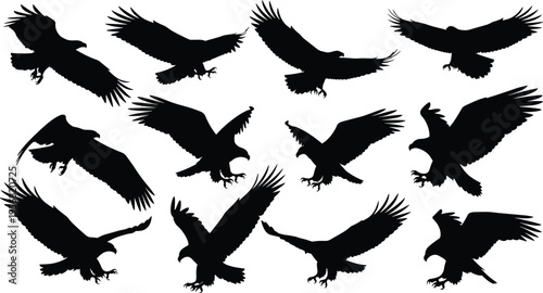 Eagle silhouettes set in flying and landing poses isolated on white background, bird of prey collection, wildlife vector illustration for nature, hunting and freedom concept