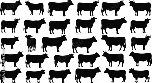 Set of cow silhouettes in various poses isolated on white background, farm animal vector collection, cattle icons for agriculture, livestock design and branding use