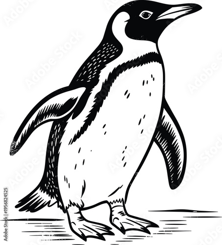 Penguin vector illustration, black and white wildlife bird engraving style line art, cute antarctic animal graphic isolated for education, nature, print and commercial use