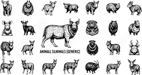 Collection of vintage hand-drawn animal illustrations. Black and white sketches featuring various mammals, livestock, and wild species in an engraving style for design projects.
