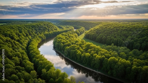 Aerial view of a serene river winding through a lush green forest at sunset