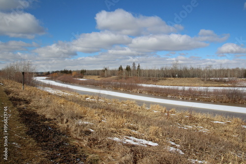 Wallpaper Mural March Day In The Wetlands Torontodigital.ca