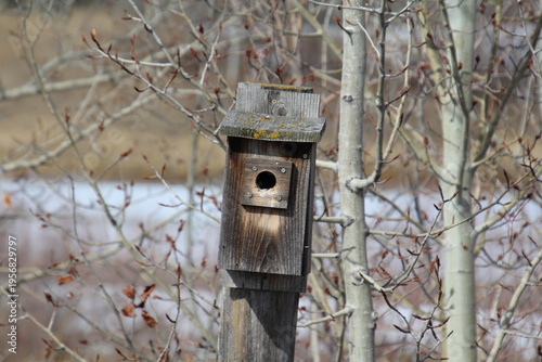 Wallpaper Mural wooden bird house Torontodigital.ca