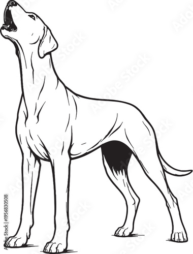 Great Dane Howling Head Up Black and White Line Art Illustration