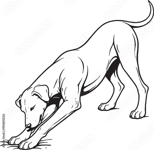 Great Dane Digging Action Pose Black and White Line Art Illustration