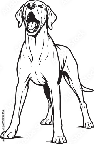 Great Dane Barking Alert Stance Black and White Line Art Illustration