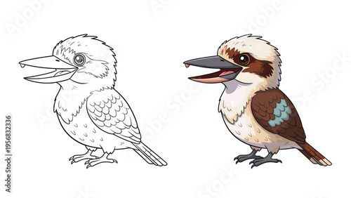 Comparison showing a detailed line drawing and a brightly colored illustration of a classic Australian kookaburra bird.