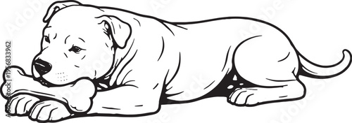 American Pit Bull Terrier Chewing Bone Lying Down Side View Black and White Line Art Illustration