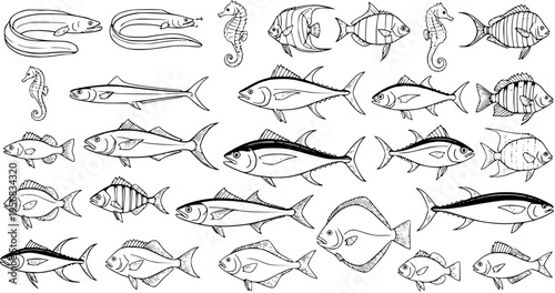 Diverse Collection of Hand-Drawn Fish and Marine Life Illustrations