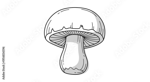 A detailed illustration of a mushroom.