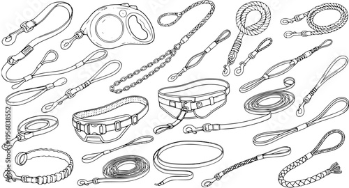 Collection of Dog Leashes, Collars, and Harnesses in Sketch Style - Pet Accessories Line Art