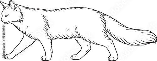 Quadro su tela Turkish Angora Cat Walking Side View Black and White Line Art Feline Pet Behavio