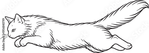 Fotografie Turkish Angora Cat Mid Air Leap Black and White Line Art Feline Jumping Behavior