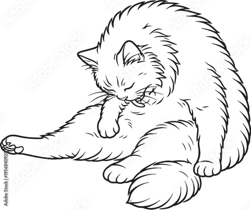 Siberian Cat Grooming Belly Line Art, Fluffy Cat Cleaning Belly Black White Vector Illustration