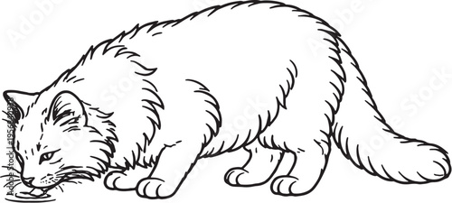 Siberian Cat Drinking Pose Line Art, Fluffy Cat Side View Black White Vector Illustration