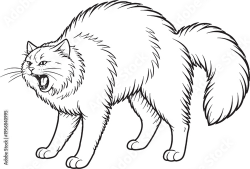 Siberian Cat Arching Back Hiss Line Art, Defensive Cat Pose Black White Vector Illustration