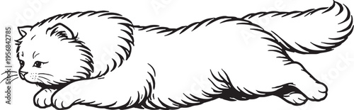 Persian Cat Mid Air Leap Jump Side View Clean Black and White Line Art Pet Behavior Illustration