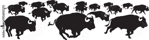 Herd of Bison Running Silhouettes on White Background Together