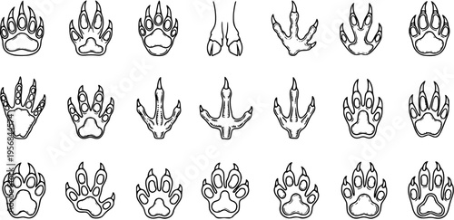 Diverse Animal Paw Prints and Footprints Vector Set. Collection of Wild Mammal, Bird, and Reptile Tracks for Wildlife, Nature, and Outdoor Designs.
