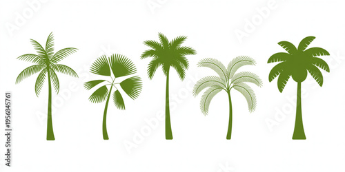 A collection of five different palm tree silhouettes showcasing various leaf shapes and textures Vector