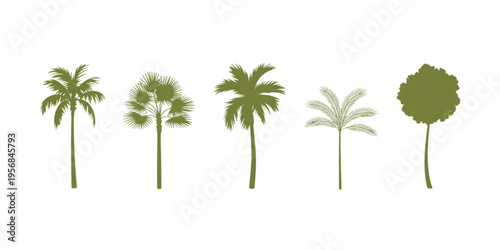 A collection of five different green tropical palm trees and a round deciduous tree silhouette Vector