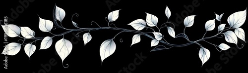 Graceful twining vine with delicate white leaves, thin curving stems and curling tendrils on a black background conveying serene elegance