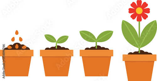 Flat vector illustration showing plant growth stages from seeds to blooming flower in pots, representing business development, lifecycle process, gardening, and success.