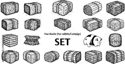 Hae Baolle Hay Bale and Bundle Collection for Rabbits and Guinea Pigs - Hand-drawn Vector Illustration Set of Animal Feed