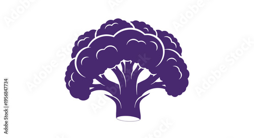Purple Broccoli Vector Illustration.