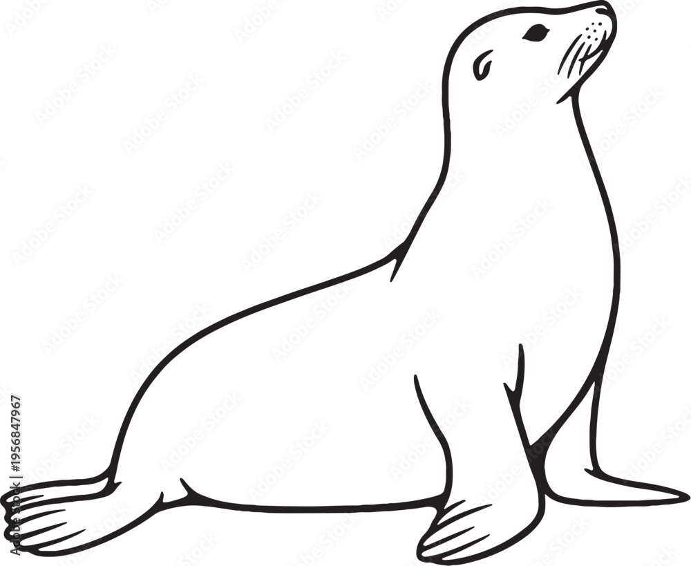 Fototapeta premium Sea Lion Sitting Upright Side View Black and White Line Art Marine Mammal Vector Illustration