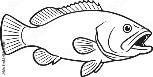 Grouper Fish Side Profile Clean Black White Line Art Reef Marine Fish Illustration