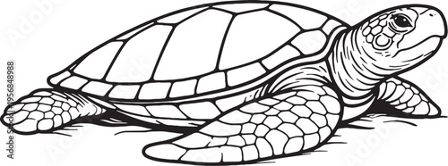 green sea turtle resting seabed line art marine reptile outline illustration black white ocean wildlife vector