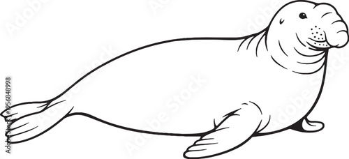 Elephant Seal Side View Black and White Line Art Marine Mammal Vector Illustration