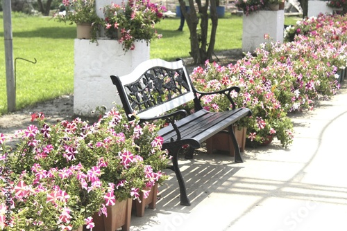 bench and flowers