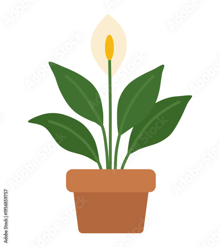 Peace Lily Flat Illustration