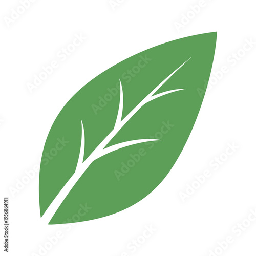 Green leaf with white veins, simple, clean, stylized, isolated on white