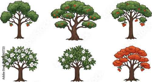 Fruit trees, flowering trees, seasonal foliage, botanical illustration, orchard plants, nature vector design