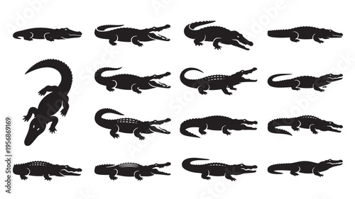 Crocodile silhouettes in various poses with open and closed mouths on a white background. featuring alligator, reptile, animal with silhouette and