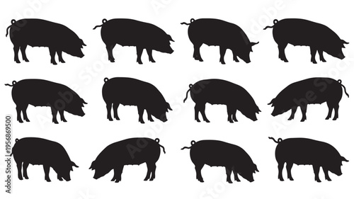 Pigs silhouettes set with multiple animals in profile view with curled tails on a white background featuring pig, silhouette, animal with farm and