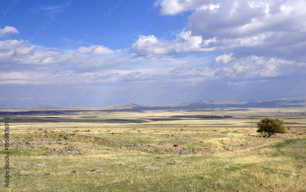 Fototapeta premium A wide-angle landscape view of the vast, rolling grassy plains and distant hills near the ancient site of Ani in the Kars Province of eastern Turkey under a bright blue sky with scattered clouds
