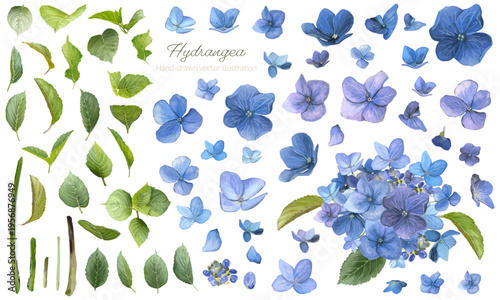 青と紫の紫陽花の水彩パーツセット