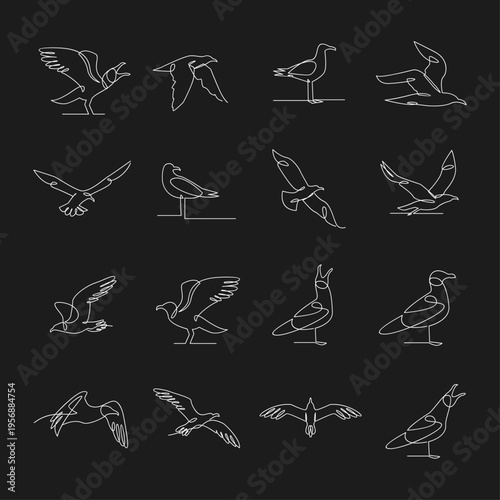 White One Line Art Seagulls Vector Illustrations Set on Black Background